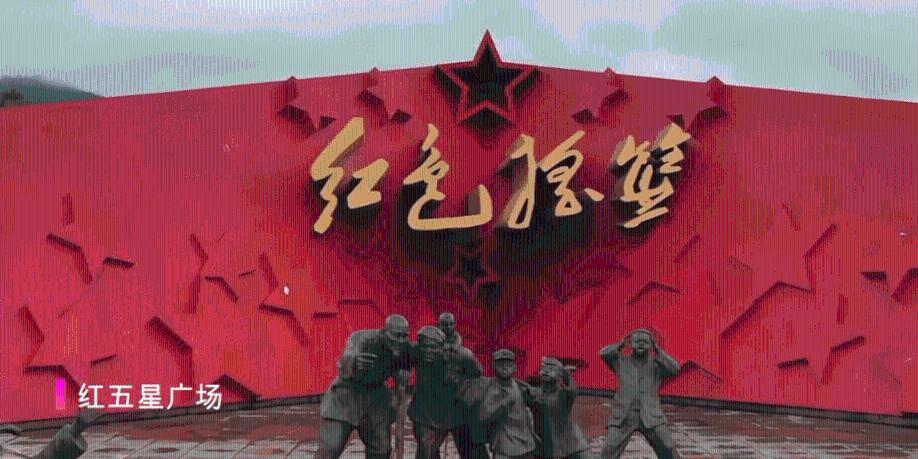 任何乒乓球赛中,都不允许发球球员遮挡发球是吗?- 热门的机智问答网页